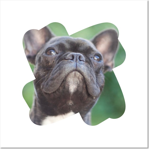 french bulldog Wall Art by FromBerlinGift